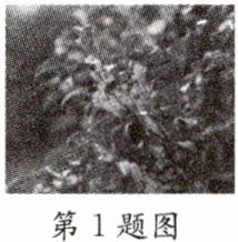 第1题图