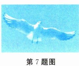第7题图