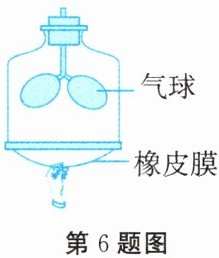 第6题图