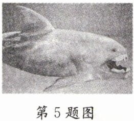 第5题图
