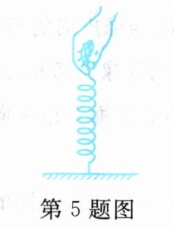 第5题图