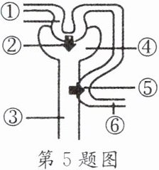 第5题图