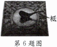 第6题图