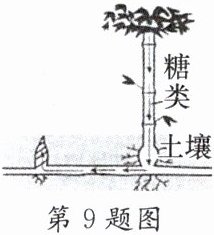 第9题图