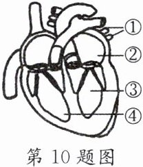第10题图