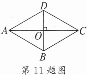 第11题图