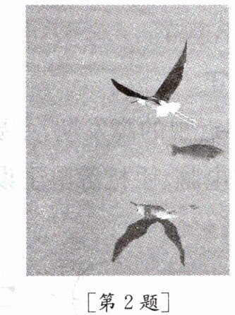 第2题