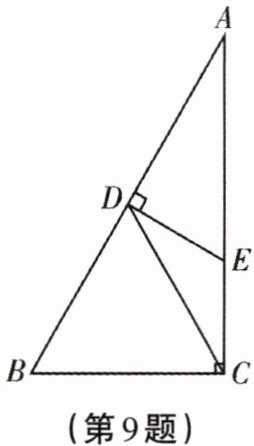 第9题