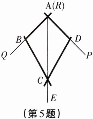第5题