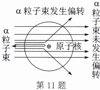 第11题