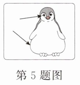 第5题图