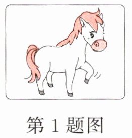 第1题图