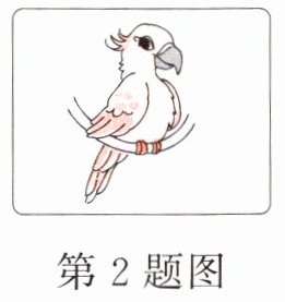 第2题图
