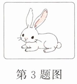 第3题图