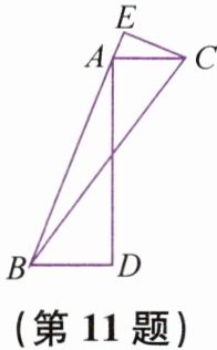 第11题