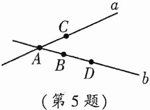 第5题