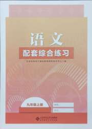 语文配套综合练习九年级人教版北京师范大学出版社