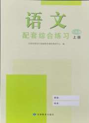 语文配套综合练习八年级人教版甘肃教育出版社