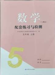 配套练习与检测五年级数学人教版