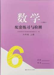 配套练习与检测六年级数学人教版