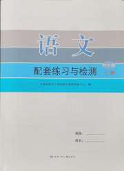 配套练习与检测四年级语文人教版