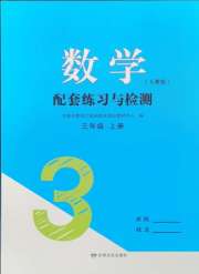 数学配套练习与检测三年级人教版