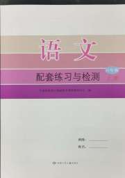 配套练习与检测六年级语文人教版