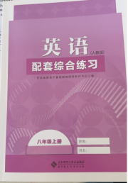 英语配套综合练习八年级人教版北京师范大学出版社