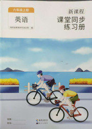 新课程课堂同步练习册六年级英语人教版