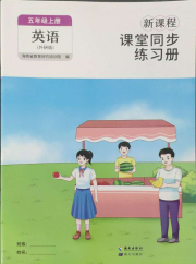 新课程课堂同步练习册五年级英语外研版
