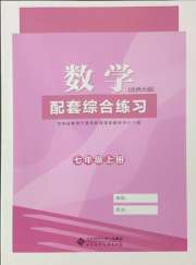 数学配套综合练习七年级北师大版北京师范大学出版社