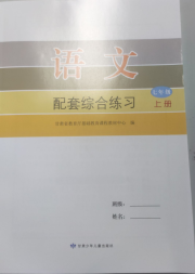 语文配套综合练习七年级人教版甘肃少年儿童出版社