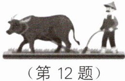 第12题
