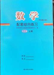 配套综合练习九年级数学华东师大版甘肃文化出版社