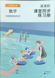 新课程课堂同步练习册六年级数学人教版