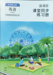 新课程课堂同步练习册九年级英语外研版