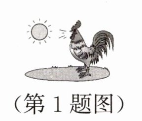 第1题图