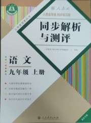 人教金学典同步解析与测评九年级语文人教版重庆专版