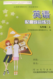 英语配套综合练习九年级冀教版河北教育出版社