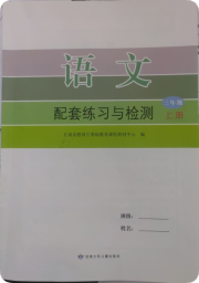 配套练习与检测三年级语文人教版