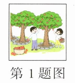 第1题图