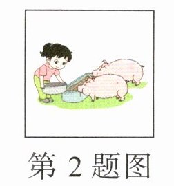 第2题图