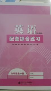 英语配套综合练习九年级人教版北京师范大学出版社