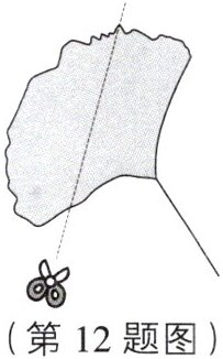 第112题图