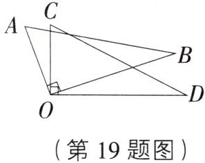 第19题图