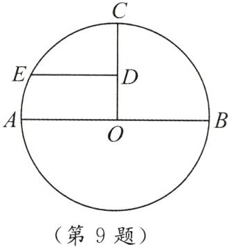 第9题