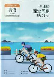 新课程课堂同步练习册六年级英语外研版