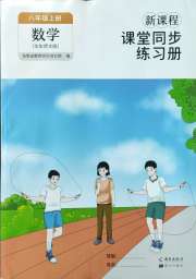 新课程课堂同步练习册八年级数学华师大版