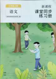新课程课堂同步练习册三年级语文人教版