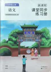 新课程课堂同步练习册九年级语文人教版